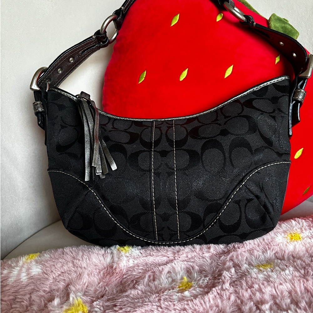 COACH Purse Signature Hobo Black Purse with Python Skin